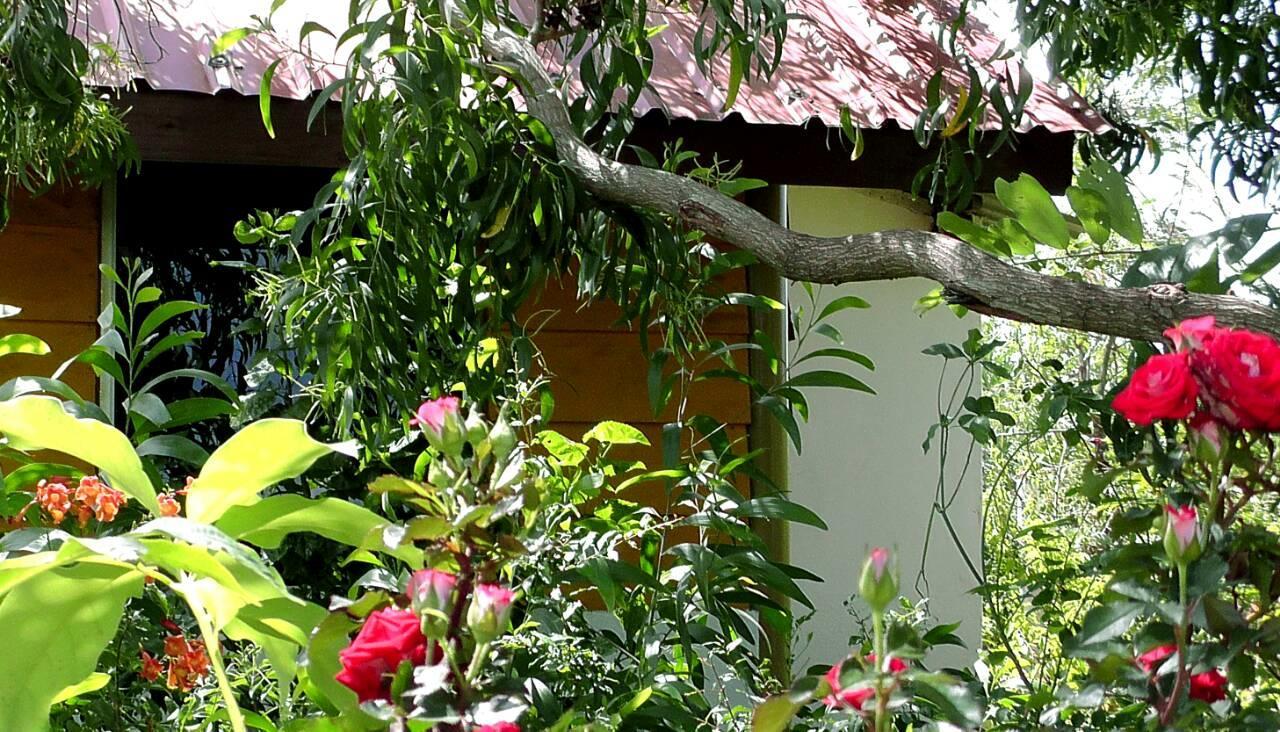 Sunntop Cabana Trincomalee Eksteriør bilde