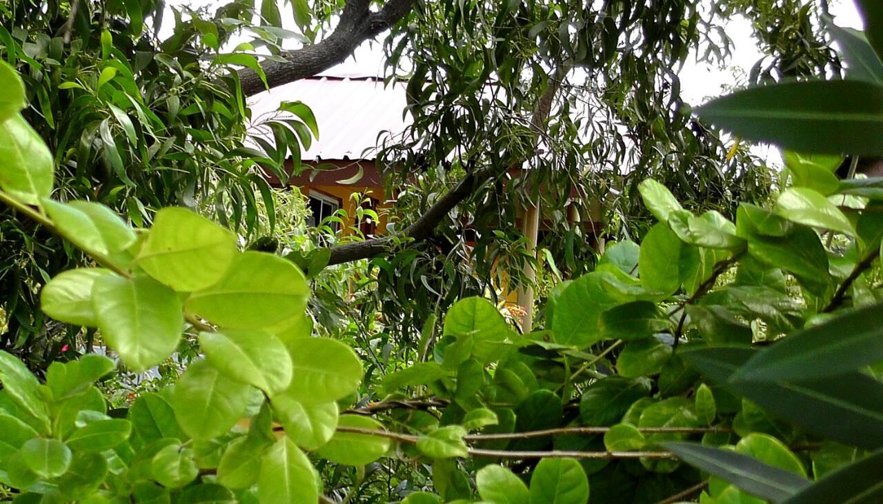 Sunntop Cabana Trincomalee Eksteriør bilde